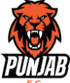 Punjab FC U21 队徽